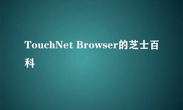 TouchNet Browser的芝士百科