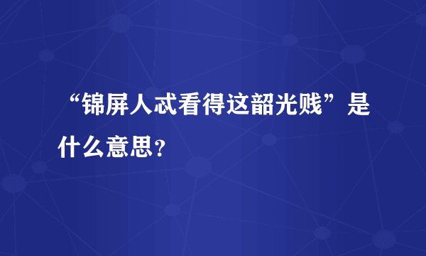 “锦屏人忒看得这韶光贱”是什么意思？