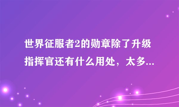 世界征服者2的勋章除了升级指挥官还有什么用处，太多了没地方用啊