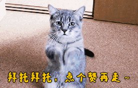 网曝熊猫直播18号关服,PDD直播间改名“全完了”,大批主播失业,如何评价此事?