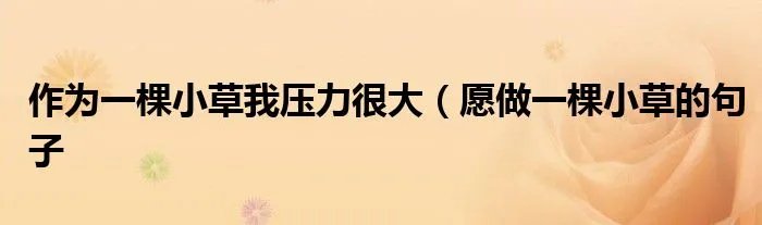 作为一棵小草我压力很大（愿做一棵小草的句子