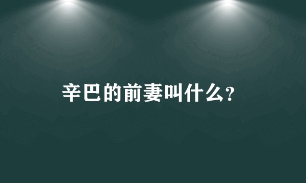 辛巴的前妻叫什么？
