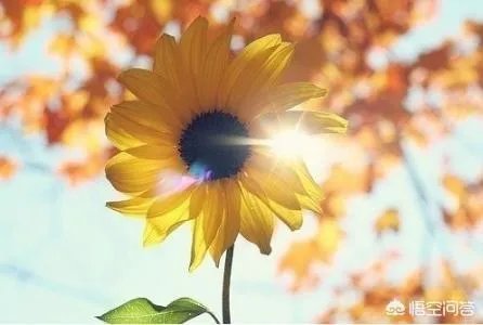 怎样才能不抑郁？