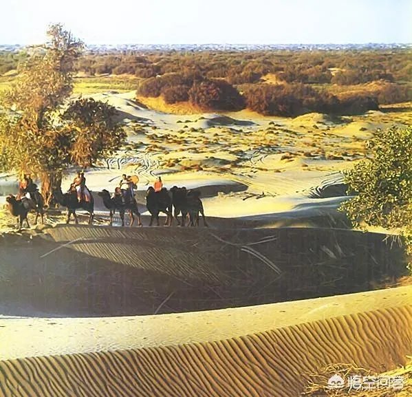 新疆塔克拉玛干沙漠能去旅游吗?