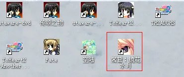 鸑鷟:镜花水月——玩后小结