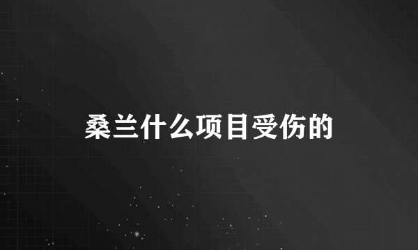 桑兰什么项目受伤的