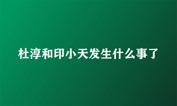 杜淳和印小天发生什么事了
