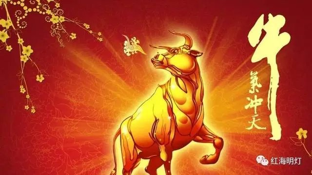 金股是什么意思？