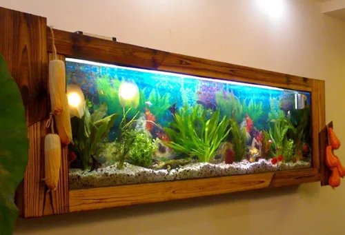 壁挂鱼缸尺寸多大适合   壁挂鱼缸可以养哪些鱼