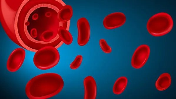 血清总胆红素偏高的原因