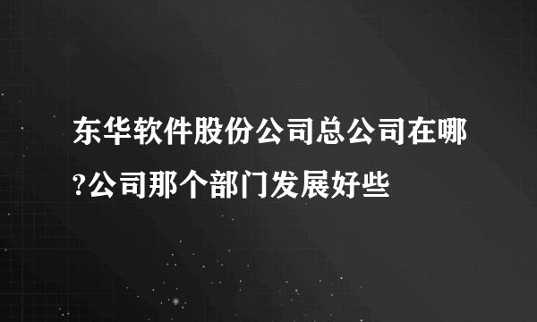 东华软件股份公司总公司在哪?公司那个部门发展好些