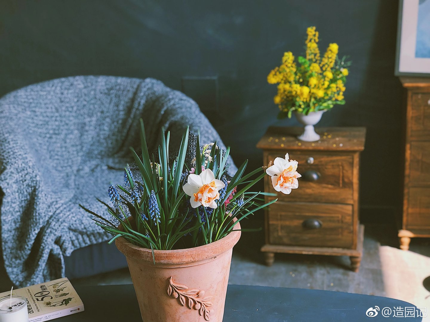 很多花友说「我缺的是花园啊」，其实园艺不是土豪专享啊！你有个...