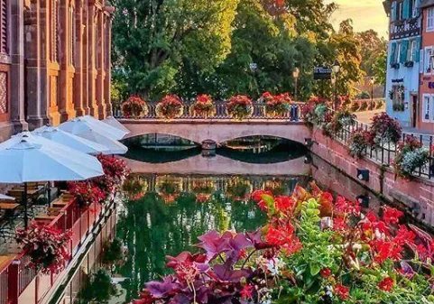 一句话的简单早安说说有哪些?