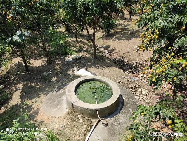 农村沼气池的建造和使用情况怎么样？