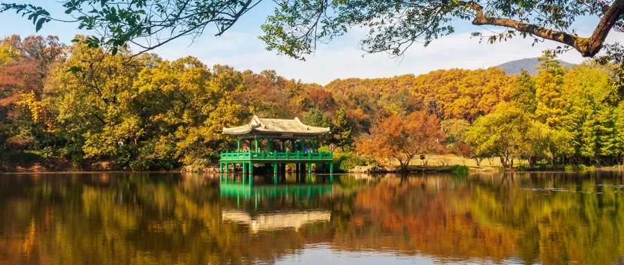 南京十大赏雪胜地排行榜：梅花山在榜，第五已有百余年历史