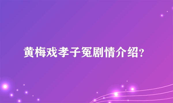 黄梅戏孝子冤剧情介绍？