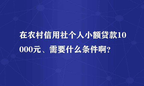 在农村信用社个人小额贷款10000元、需要什么条件啊？
