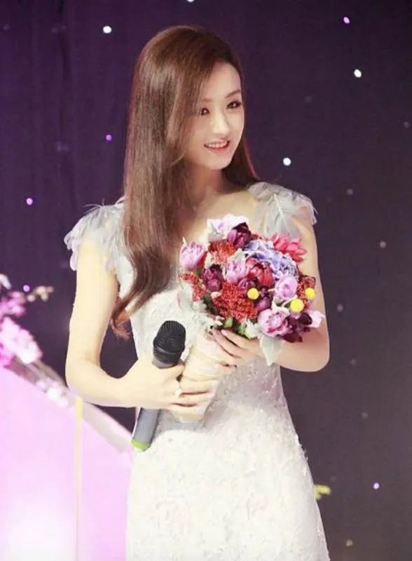 林心如诈捐门事件