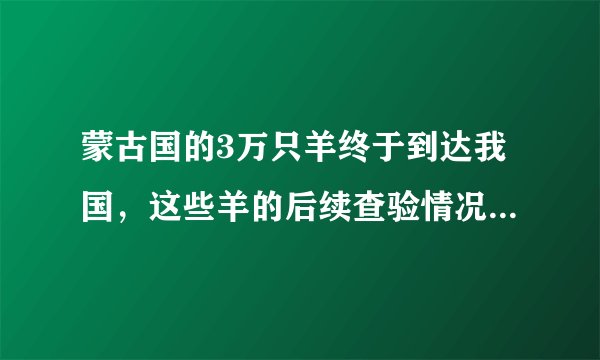 蒙古国的3万只羊终于到达我国,这些羊的后续查验情况怎么样了?