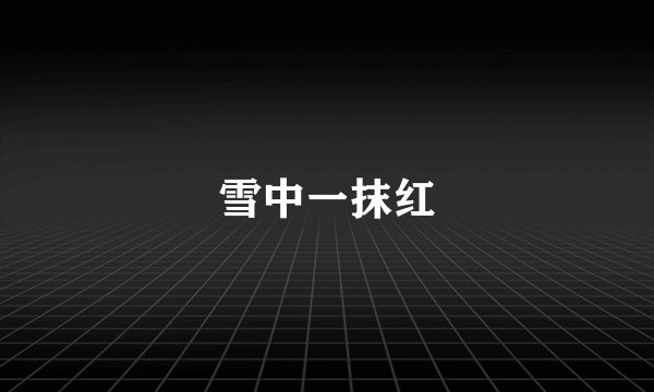 雪中一抹红