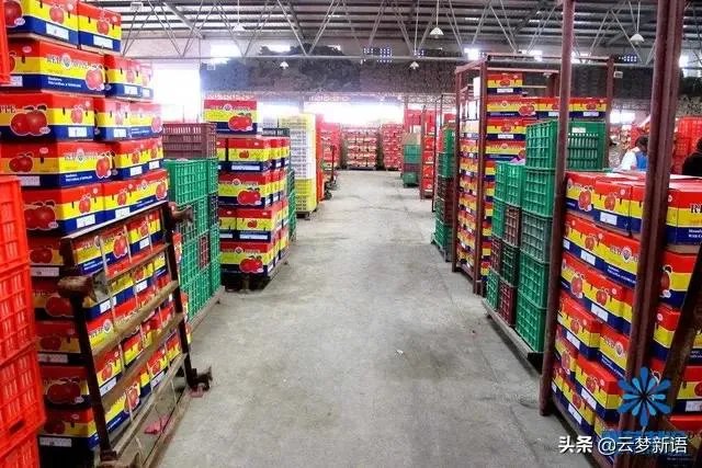 现在苹果价格的行情如何？