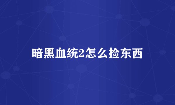 暗黑血统2怎么捡东西