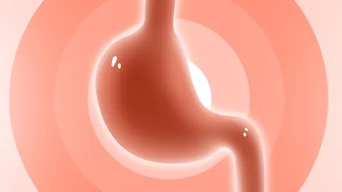 吃蕨菜会致癌吗