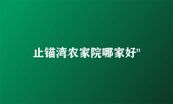止锚湾农家院哪家好