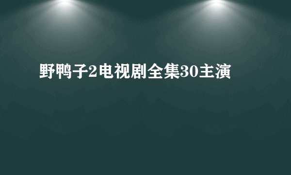 野鸭子2电视剧全集30主演