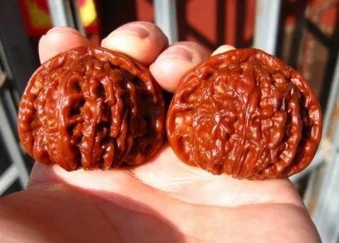 如何挑选文玩核桃？