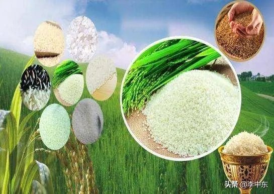 国内疫情基本要结束了,为什么有些人现在却开始抢购大米和房子?