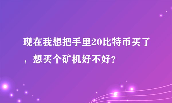 现在我想把手里20比特币买了,想买个矿机好不好?