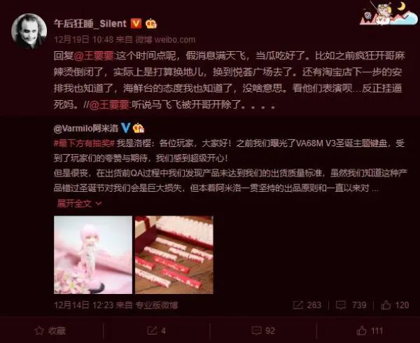 马飞飞终于发声辟谣了 表示并未被开除