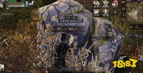 明日之后秋日森林宝箱在哪