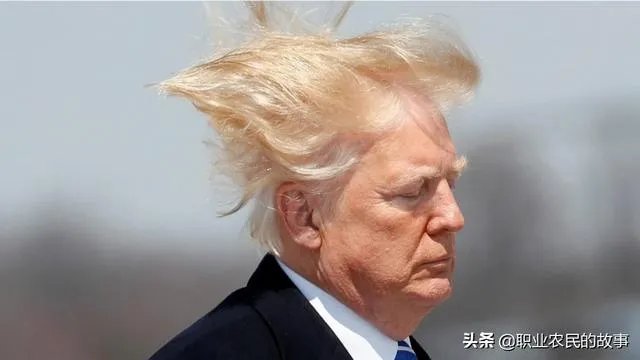 已经判决孟晚舟女士“双重犯罪”，怎样才能让她平安回国？