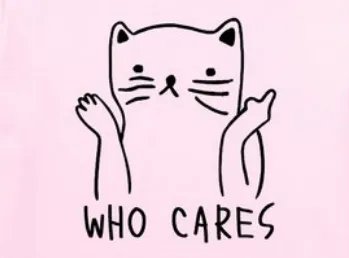 who cares什么意思