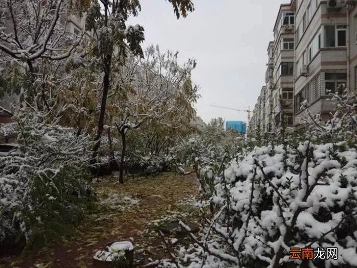 2021年的四季 2021年第一场雪的句子