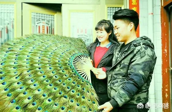 你们农村致富故事有哪些？