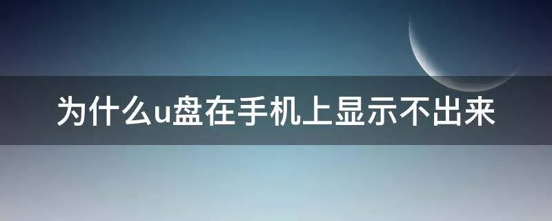 为什么u盘在手机上显示不出来