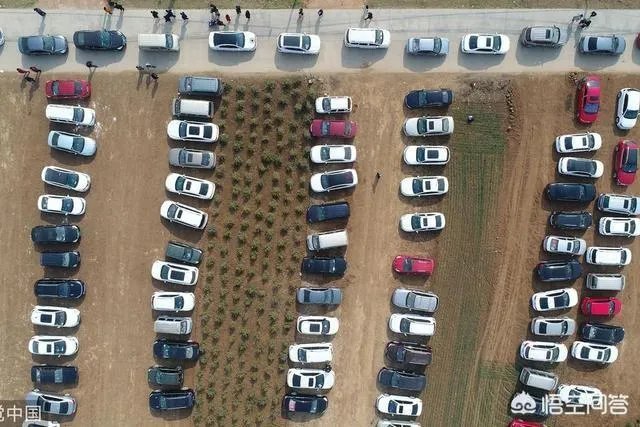 西安村民春节改麦田为停车场,一天收入2000元,你怎么看?