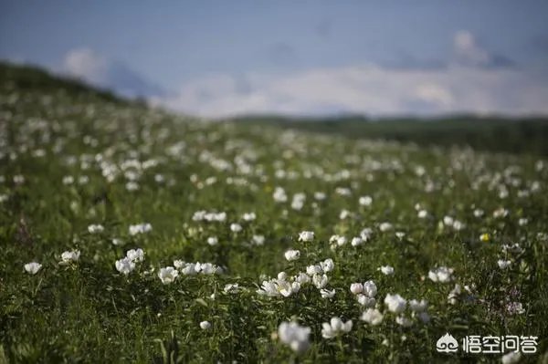 为什么呼伦贝尔只有两个月的旅游旺季,和别的月份有什么区别?