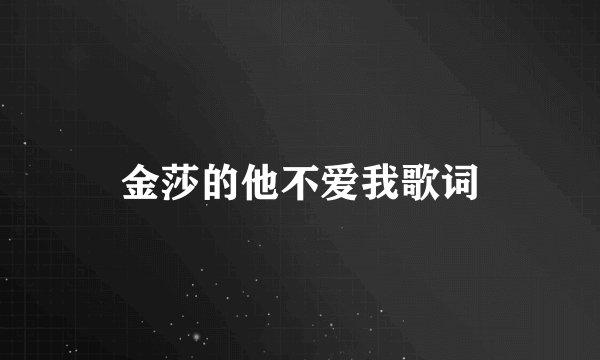 金莎的他不爱我歌词