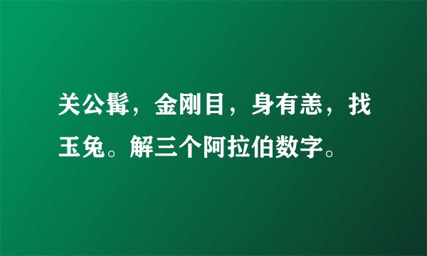 关公髯，金刚目，身有恙，找玉兔。解三个阿拉伯数字。