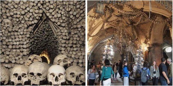 上海大学腐尸的介绍