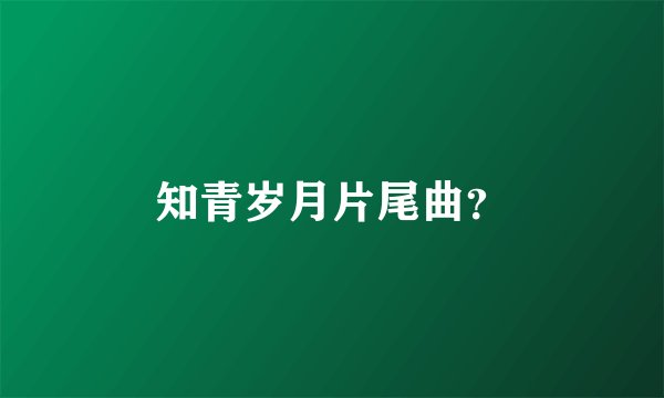 知青岁月片尾曲？