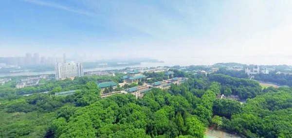 武汉大学历年高考录取分数线