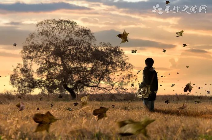 【适合胎教的音乐有哪些】适合胎教的轻音乐