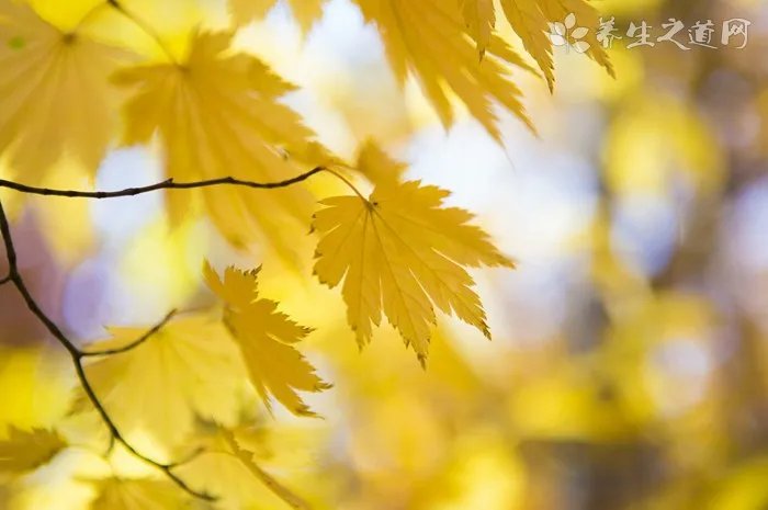 人到中年,如何面对人生的低谷