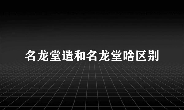 名龙堂造和名龙堂啥区别