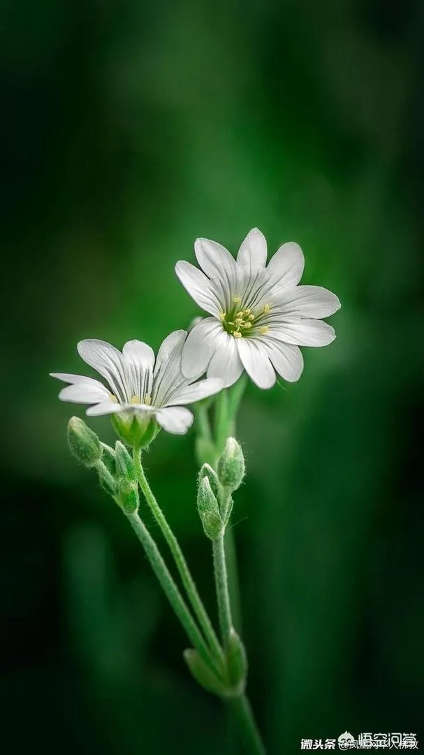 陈瑞什么时候开个人演唱会？